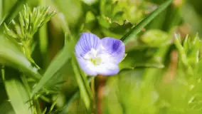 Mamy dowody na rozkwit wiosny na Mazurach, końcówka marca 2024 r. - zdjęcie 22