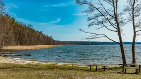 Bełdany Tarpan II, marzec 2024 r. - zdjęcie 3