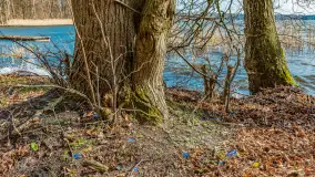 Bełdany Tarpan II, marzec 2024 r. - zdjęcie 26