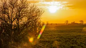 Wiosenne kadry o zachodzie słońca, koniec marca 2024 r. - zdjęcie 25