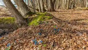 Wiosna nad jeziorem Bełdany, Binduga Tarpan I - zdjęcie 12