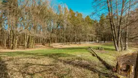 Wiosna nad jeziorem Bełdany, Binduga Tarpan I - zdjęcie 10