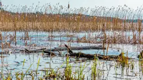 Wiosna nad jeziorem Bełdany, Binduga Tarpan I - zdjęcie 5