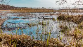 Wiosna nad jeziorem Bełdany, Binduga Tarpan I - zdjęcie 33