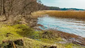 Wiosna nad jeziorem Bełdany, Binduga Tarpan I - zdjęcie 14
