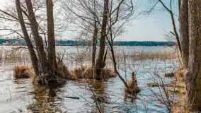 Wiosna nad jeziorem Bełdany, Binduga Tarpan I - zdjęcie 22