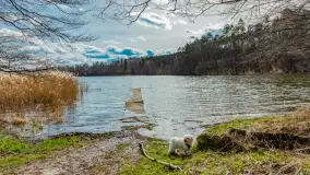 Wiosna i polana Wydra przy jeziorze Tyrkło, marzec 2024 r. - zdjęcie 29