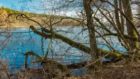 Wiosna i polana Wydra przy jeziorze Tyrkło, marzec 2024 r. - zdjęcie 13