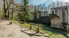 Śluza Leśniewo Górne na wiosennych ujęciach, marzec 2024 r. - zdjęcie 47