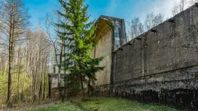 Śluza Leśniewo Górne na wiosennych ujęciach, marzec 2024 r. - zdjęcie 45