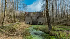 Śluza Leśniewo Górne na wiosennych ujęciach, marzec 2024 r. - zdjęcie 16