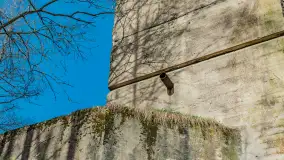 Śluza Leśniewo Górne na wiosennych ujęciach, marzec 2024 r. - zdjęcie 29