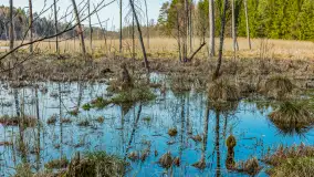 Wiosna nad niewielkim, mazurskim jeziorkiem, marzec 2024 r. - zdjęcie 12