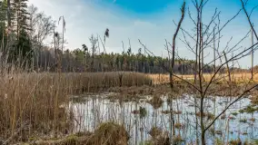 Wiosna nad niewielkim, mazurskim jeziorkiem, marzec 2024 r. - zdjęcie 2