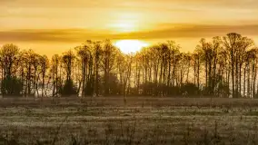 Mazurskie pajęczyny o wschodzie słońca nad jeziorem Dobskim - zdjęcie 18