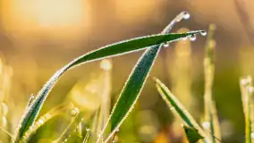 Mazurskie pajęczyny o wschodzie słońca nad jeziorem Dobskim - zdjęcie 32