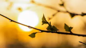 Mazurskie pajęczyny o wschodzie słońca nad jeziorem Dobskim - zdjęcie 12