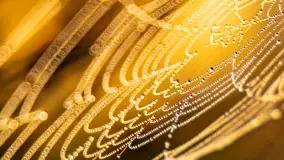 Mazurskie pajęczyny o wschodzie słońca nad jeziorem Dobskim - zdjęcie 16