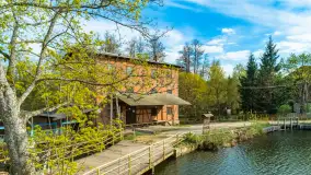 Młyn wodny i jaz we wsi Krutyński Piecek, kwiecień 2024 r. - zdjęcie 9