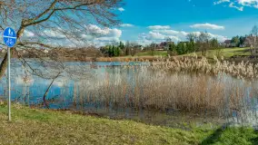 Wiosenny spacer nad jeziorem Wydmińskim, marzec 2024 r. - zdjęcie 2