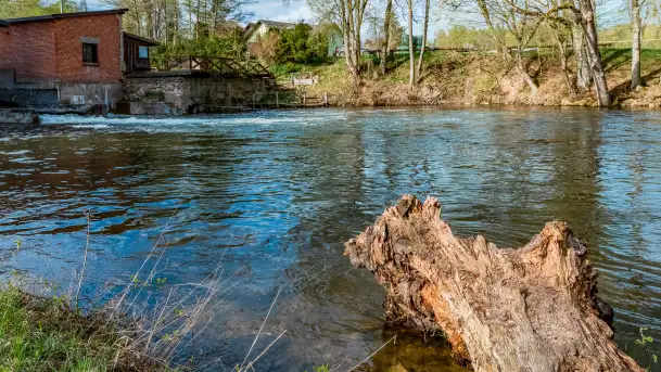 Zabytkowy młyn wodny przy Krutyni, kwiecień 2024 r. - zdjęcie 11