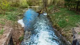 Zabytkowy młyn wodny przy Krutyni, kwiecień 2024 r. - zdjęcie 12