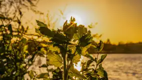 Zachód słońca nad jeziorem Salęt, kwiecień 2024 r. - zdjęcie 16