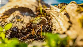 Zachód słońca nad jeziorem Salęt, kwiecień 2024 r. - zdjęcie 26