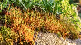 Zachód słońca nad jeziorem Salęt, kwiecień 2024 r. - zdjęcie 39