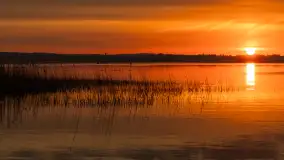 Wschód słońca w PTTK Wilkasy, jezioro Niegocin, maj 2024 r. - zdjęcie 9