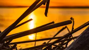 Zachód słońca nad jeziorem Niegocin, kwiecień 2024 r. - zdjęcie 25