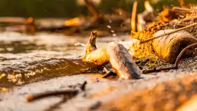 Zachód słońca nad jeziorem Niegocin, kwiecień 2024 r. - zdjęcie 26