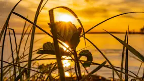 Zachód słońca nad jeziorem Niegocin, kwiecień 2024 r. - zdjęcie 10