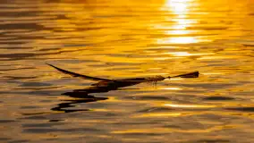 Zachód słońca nad jeziorem Niegocin, kwiecień 2024 r. - zdjęcie 23