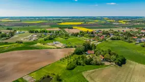 Rzepakowe pola widoczne z lotu ptaka, maj 2024 r. - zdjęcie 6