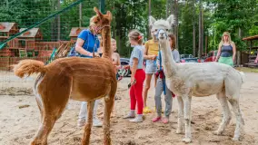 Dzień Dziecka w Ośrodku Wypoczynkowym Wodnik, czerwiec 2024 r. - zdjęcie 6