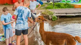 Dzień Dziecka w Ośrodku Wypoczynkowym Wodnik, czerwiec 2024 r. - zdjęcie 13