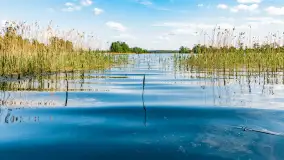 Plaża nad jeziorem Rydzówka pod koniec maja 2024 r. - zdjęcie 4