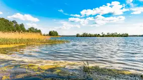 Plaża nad jeziorem Rydzówka pod koniec maja 2024 r. - zdjęcie 14