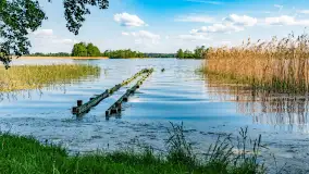 Plaża nad jeziorem Rydzówka pod koniec maja 2024 r. - zdjęcie 18