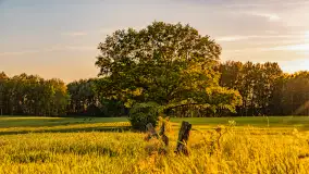Mazury w wieczornych promieniach słońca, maj 2024 r. - zdjęcie 17