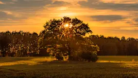 Mazury w wieczornych promieniach słońca, maj 2024 r. - zdjęcie 2