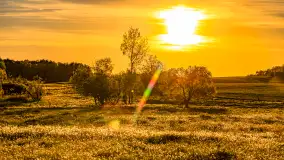 Mazury w wieczornych promieniach słońca, maj 2024 r. - zdjęcie 18