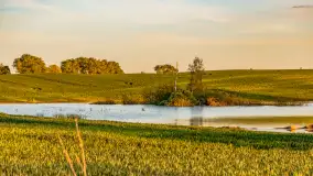 Mazury w wieczornych promieniach słońca, maj 2024 r. - zdjęcie 6