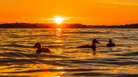 Zachód słońca w przystani Rajcocha, lipiec 2024 r. - zdjęcie 3