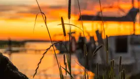 Zachód słońca w przystani Rajcocha, lipiec 2024 r. - zdjęcie 32