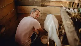 Chèvre au lait: Kozie Sery Tworzone z Pasją przez Panią Martę - zdjęcie 3