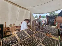 Średniowieczne klimaty gościły w Rynie na Mazurach - zdjęcie 34