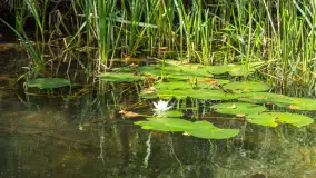 Rejs Mazury24 Omegą po Sapinie, sierpień 2024 r. - zdjęcie 12