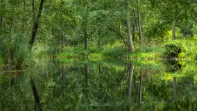 Rejs Mazury24 Omegą po Sapinie, sierpień 2024 r. - zdjęcie 30